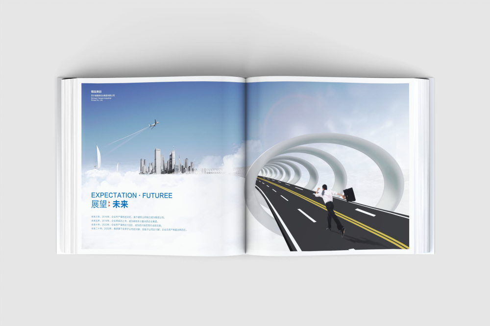 东平县画册设计
